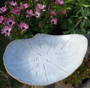 Coupe basse avec lavandes